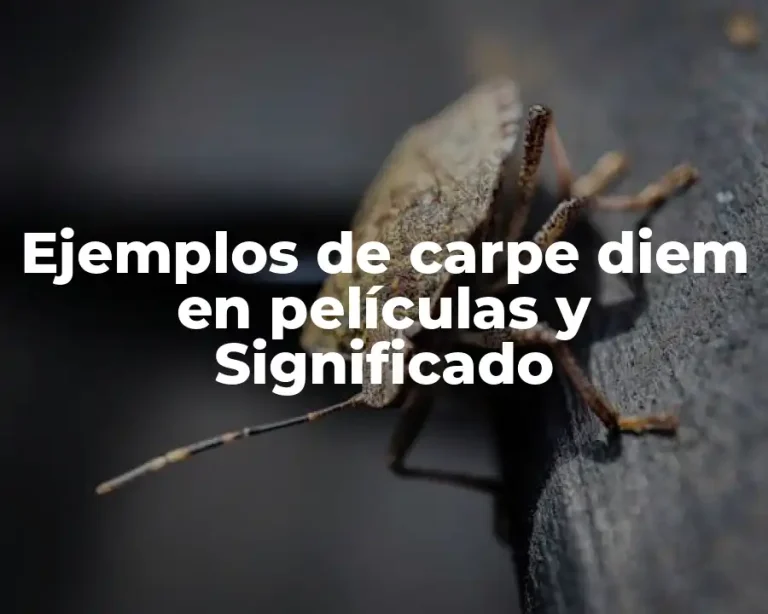 Ejemplos de carpe diem en películas y Significado