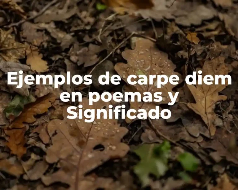 Ejemplos de carpe diem en poemas y Significado