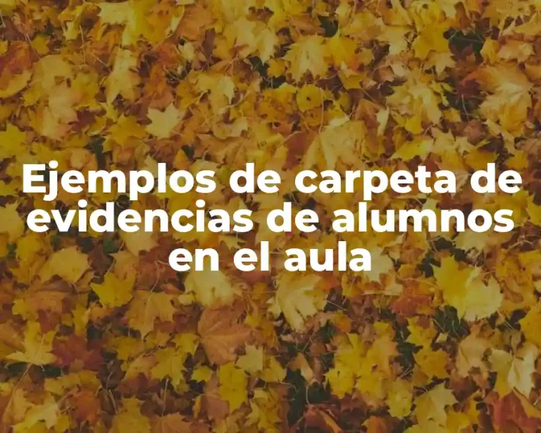 Ejemplos de carpeta de evidencias de alumnos en el aula