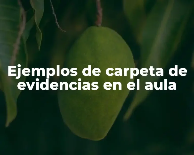 Ejemplos de carpeta de evidencias en el aula