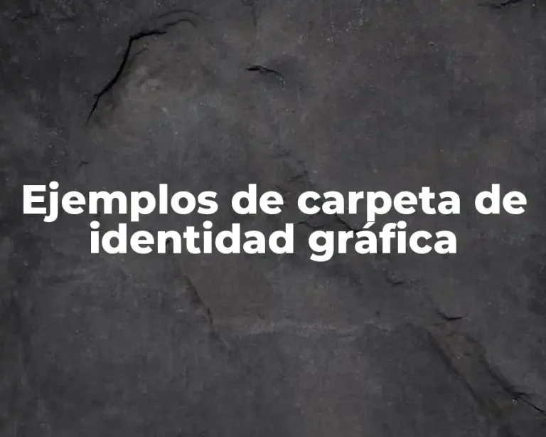 Ejemplos de carpeta de identidad gráfica