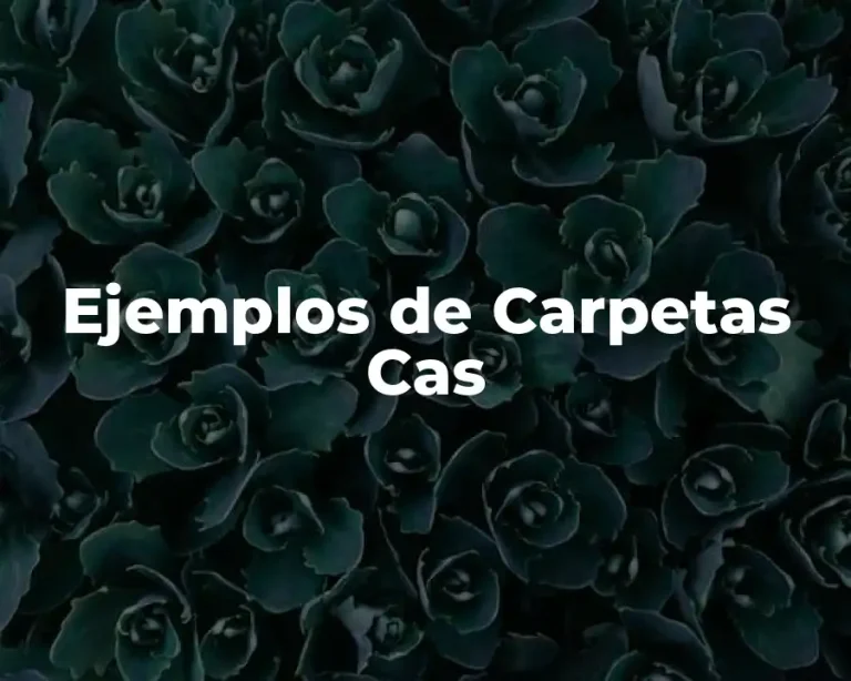 Ejemplos de Carpetas Cas