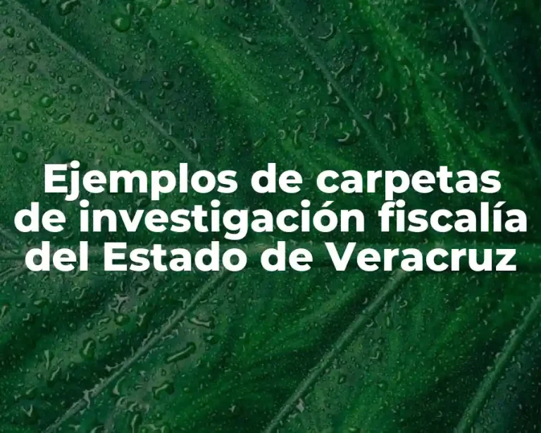 Ejemplos de carpetas de investigación fiscalía del Estado de Veracruz