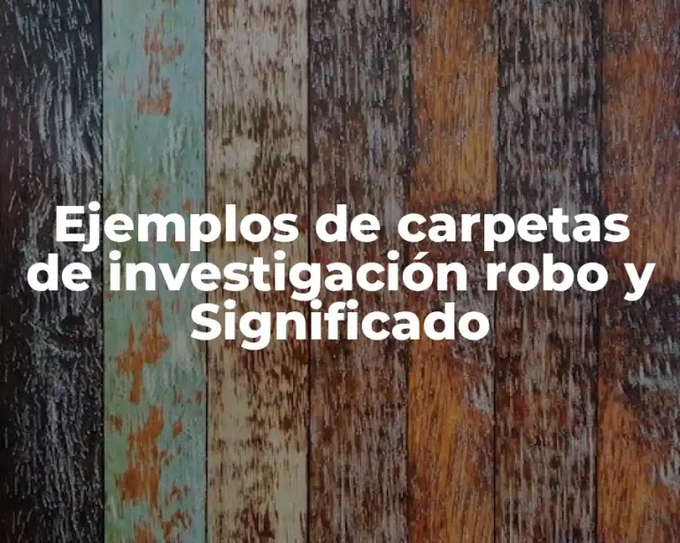 Ejemplos de carpetas de investigación robo y Significado