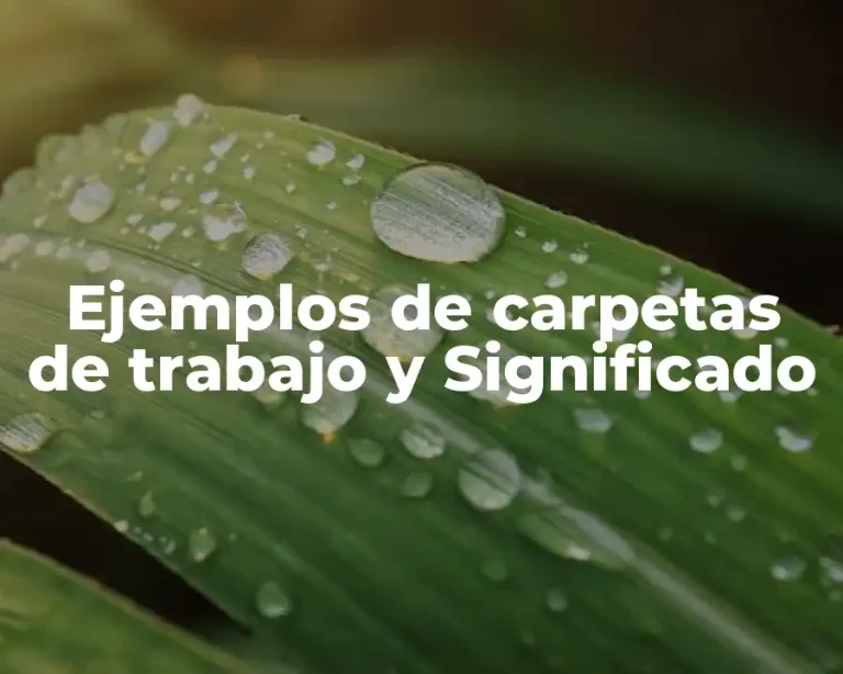 Ejemplos de carpetas de trabajo y Significado
