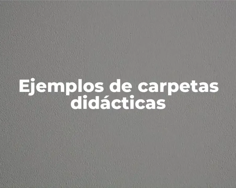 Ejemplos de carpetas didácticas