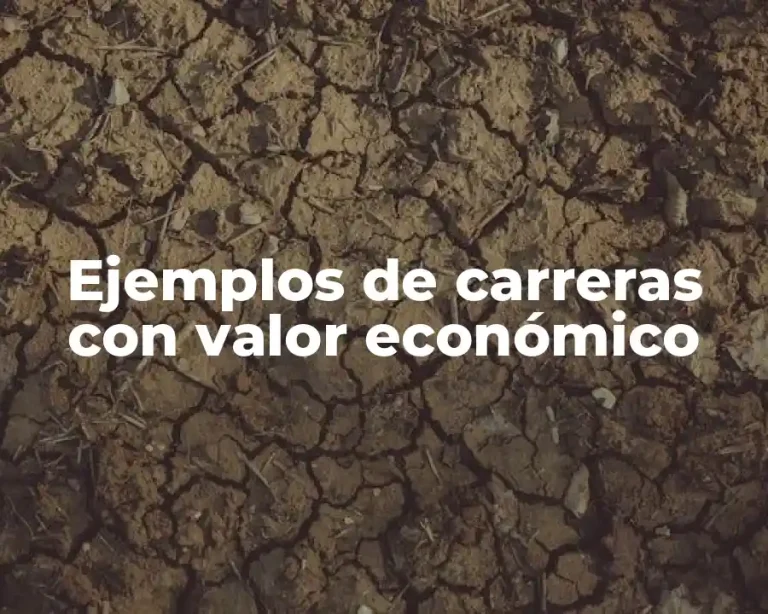 Ejemplos de carreras con valor económico