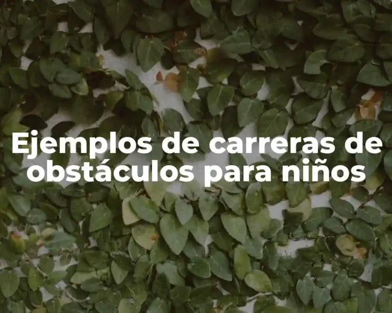 Ejemplos de carreras de obstáculos para niños
