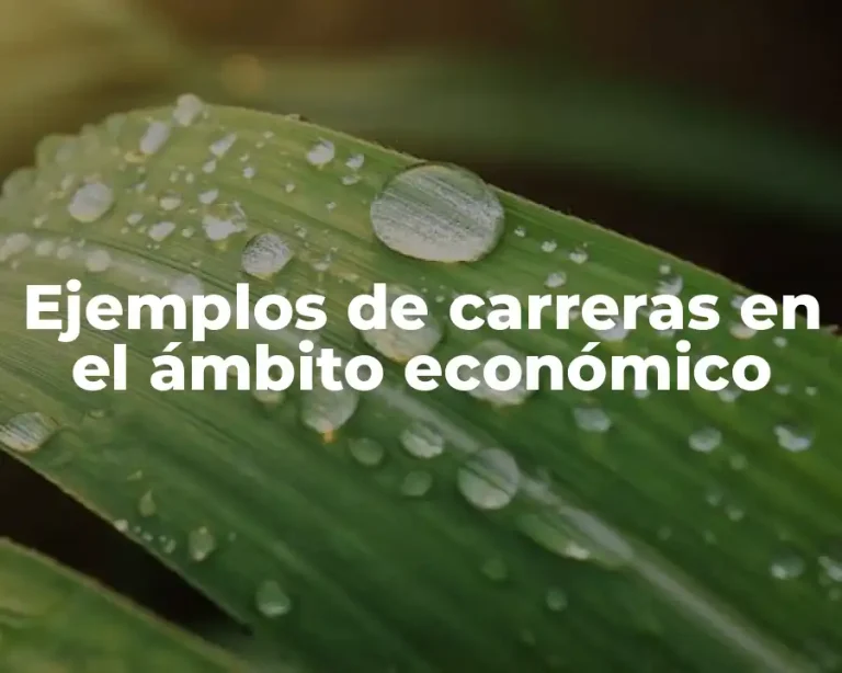 Ejemplos de carreras en el ámbito económico