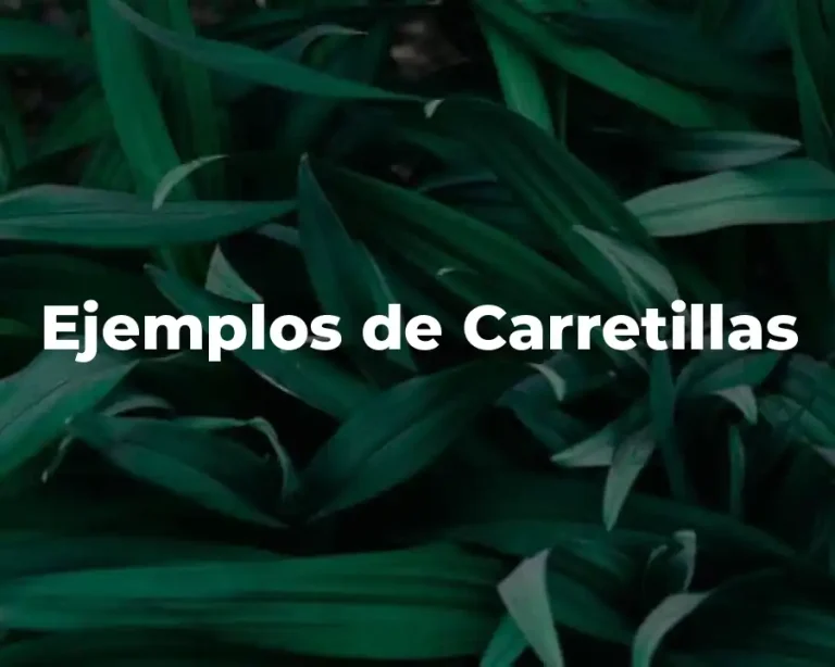 Ejemplos de Carretillas