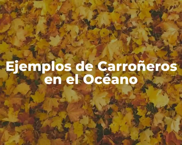 Ejemplos de Carroñeros en el Océano