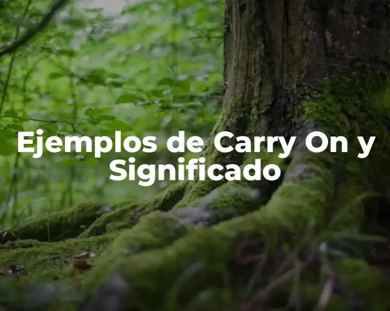 Ejemplos de Carry On y Significado