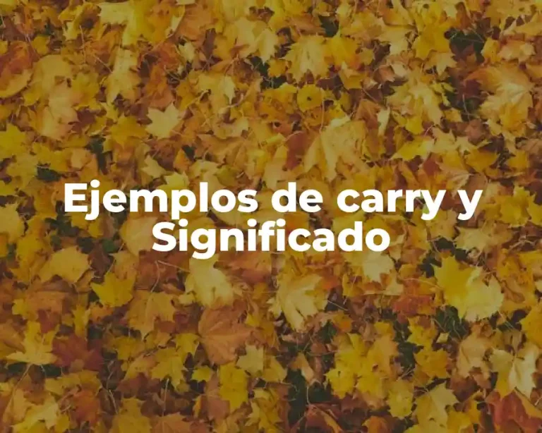 Ejemplos de carry y Significado