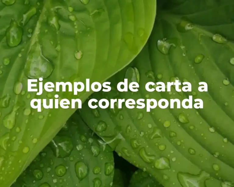 Ejemplos de carta a quien corresponda