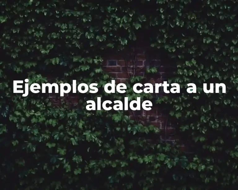 Ejemplos de carta a un alcalde