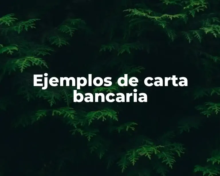 Ejemplos de carta bancaria