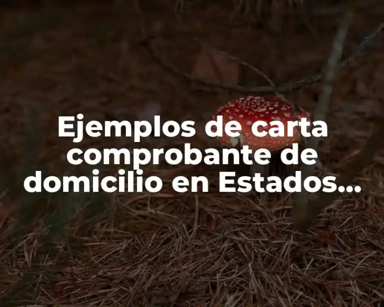 Ejemplos de carta comprobante de domicilio en Estados Unidos