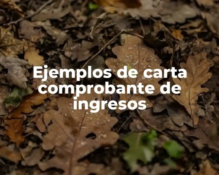 Ejemplos de carta comprobante de ingresos