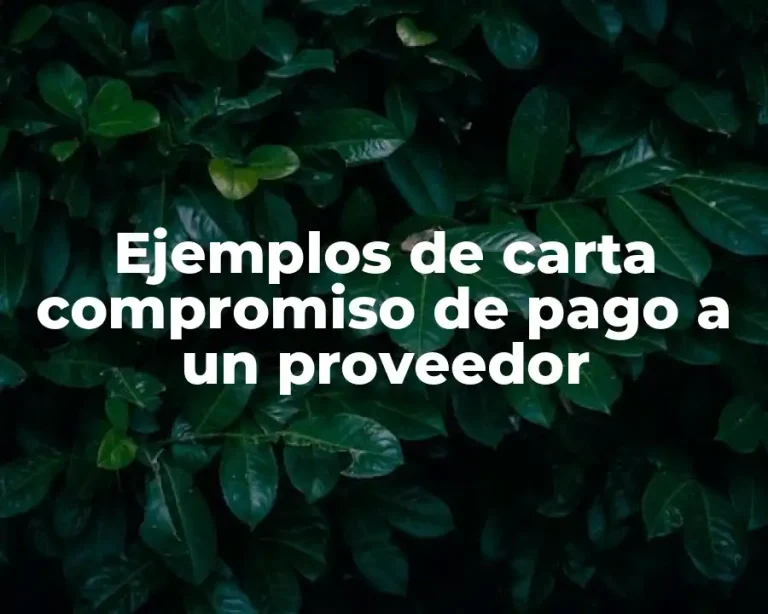 Ejemplos de carta compromiso de pago a un proveedor