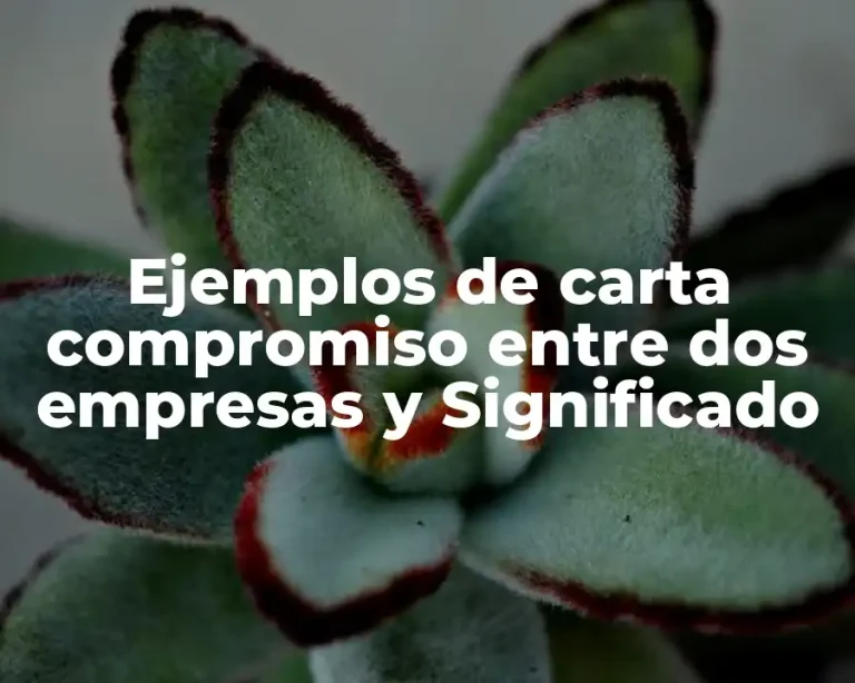 Ejemplos de carta compromiso entre dos empresas y Significado