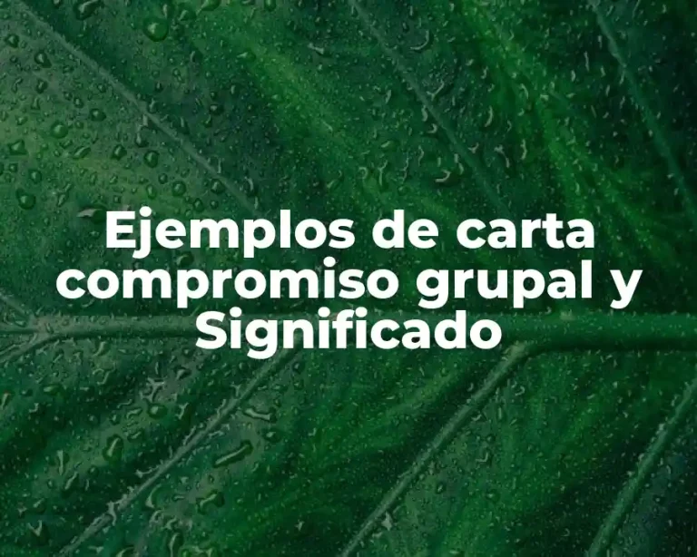 Ejemplos de carta compromiso grupal y Significado