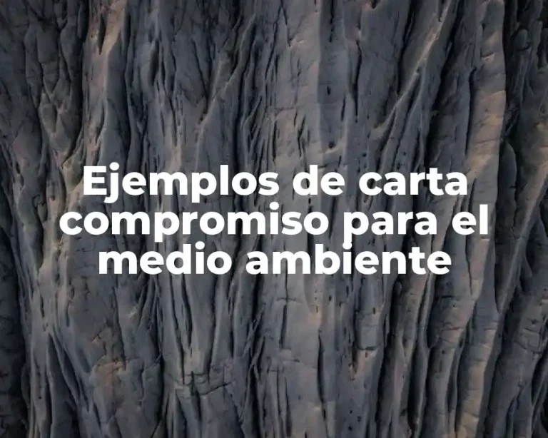 Ejemplos de carta compromiso para el medio ambiente