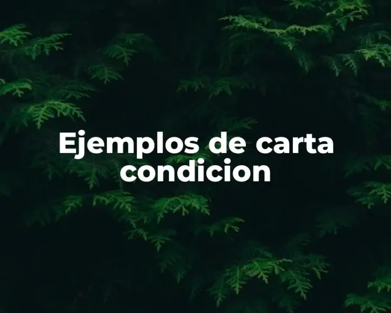 Ejemplos de carta condicion