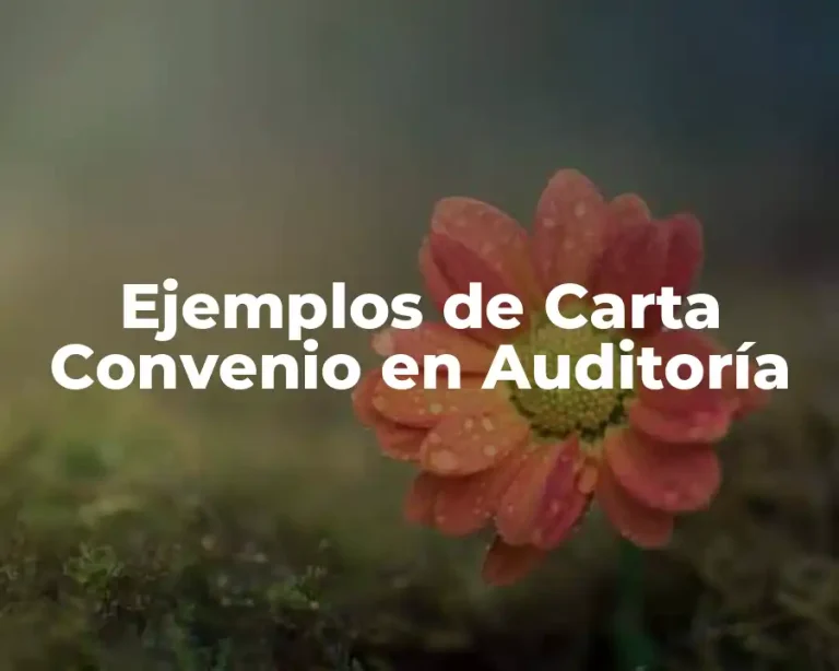 Ejemplos de Carta Convenio en Auditoría