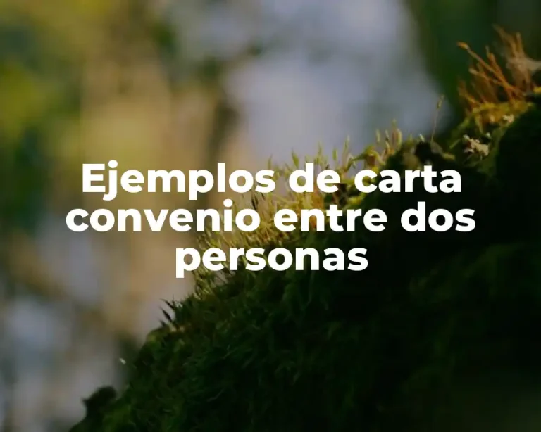 Ejemplos de carta convenio entre dos personas