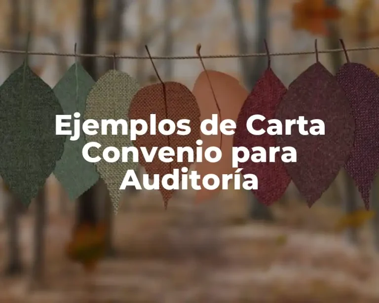 Ejemplos de Carta Convenio para Auditoría