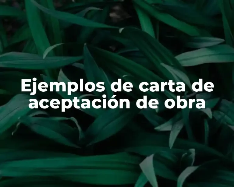 Ejemplos de carta de aceptación de obra