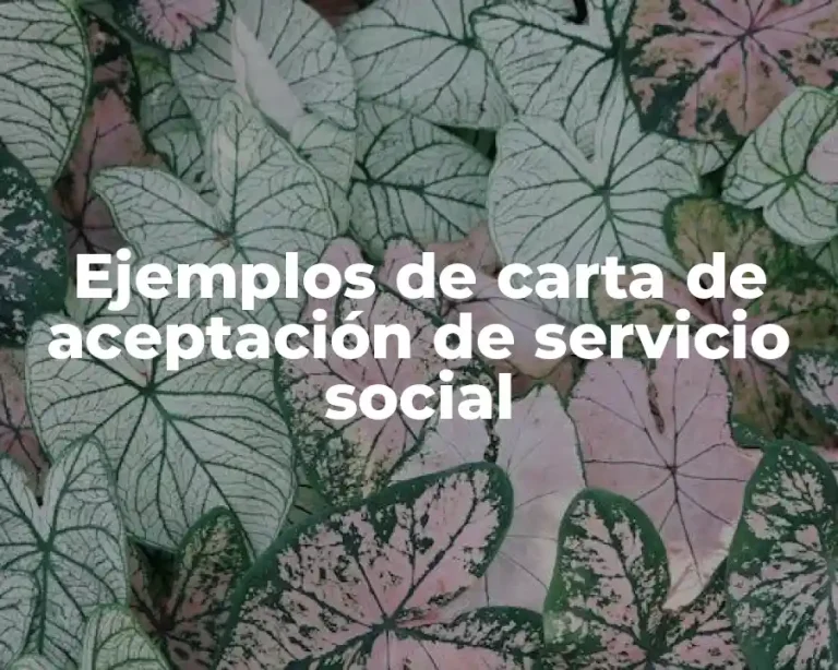 Ejemplos de carta de aceptación de servicio social