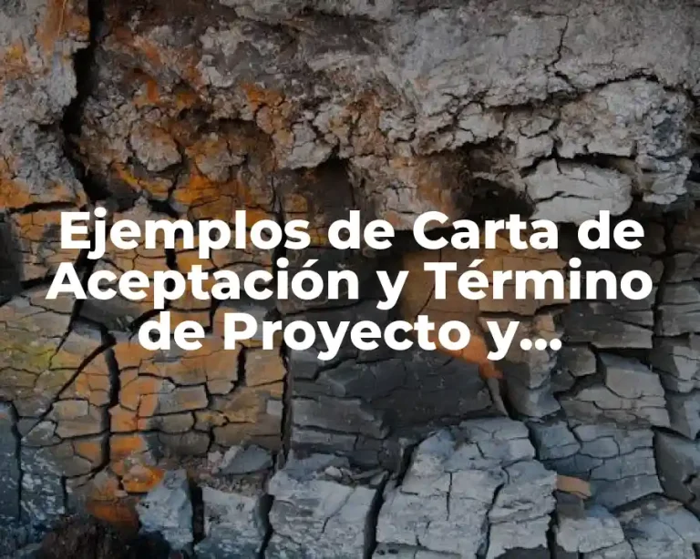 Ejemplos de Carta de Aceptación y Término de Proyecto y Significado