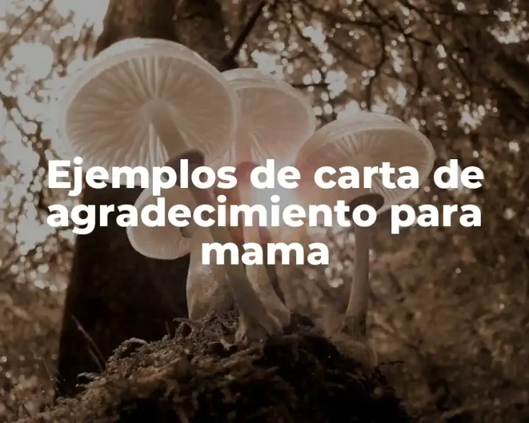 Ejemplos de carta de agradecimiento para mama