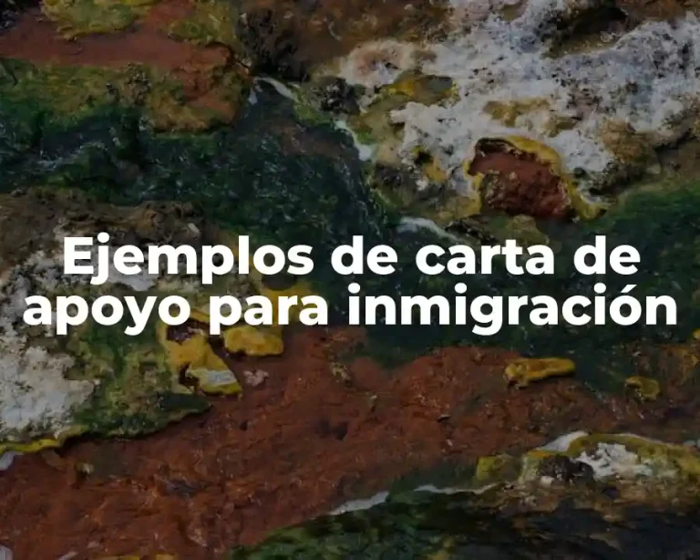 Ejemplos de carta de apoyo para inmigración