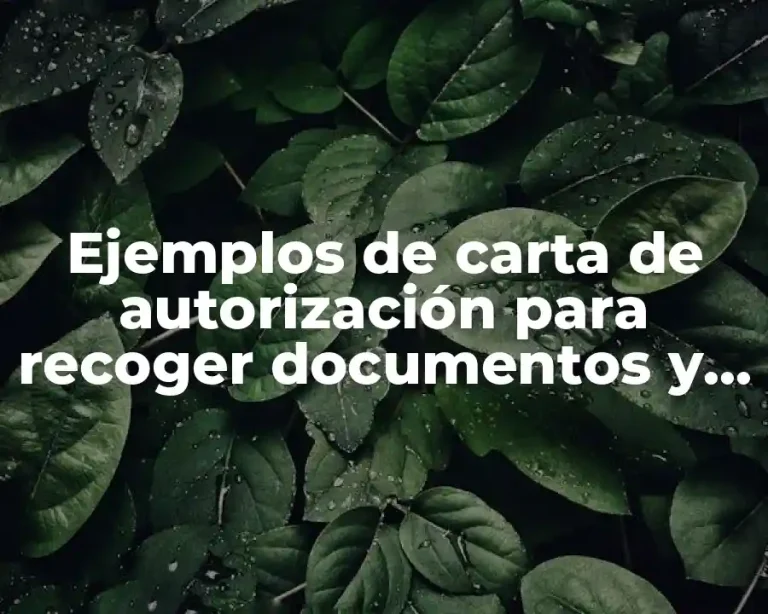 Ejemplos de carta de autorización para recoger documentos y Significado