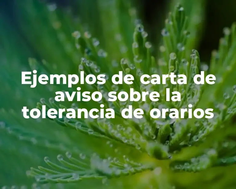 Ejemplos de carta de aviso sobre la tolerancia de orarios