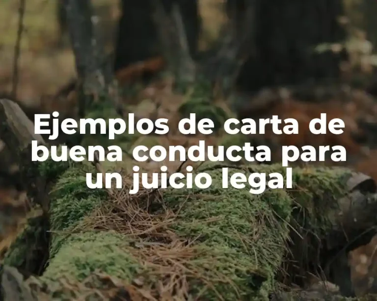 Ejemplos de carta de buena conducta para un juicio legal