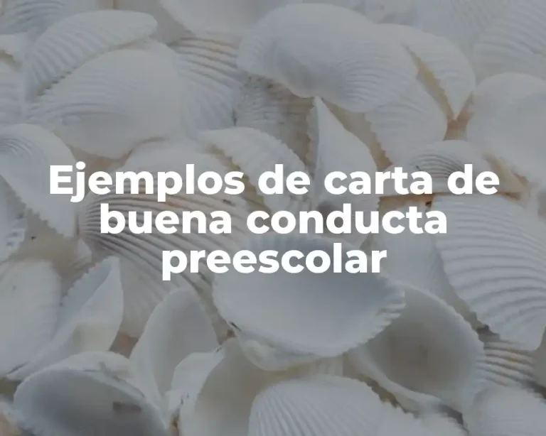 Ejemplos de carta de buena conducta preescolar