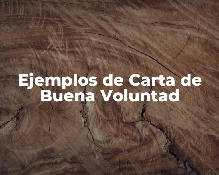 Ejemplos de Carta de Buena Voluntad