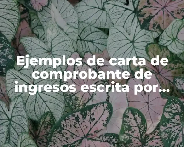 Ejemplos de carta de comprobante de ingresos escrita por patron