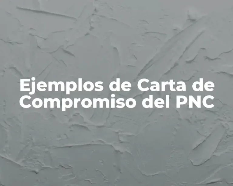 Ejemplos de Carta de Compromiso del PNC