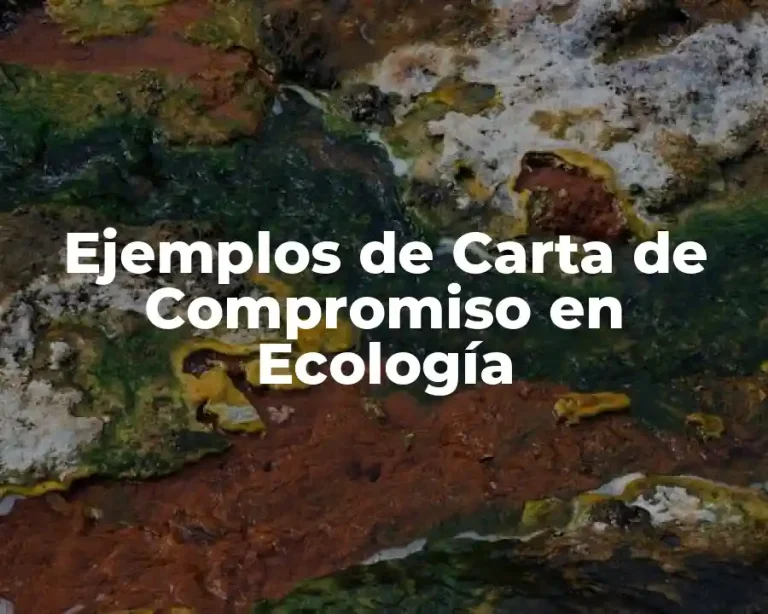 Ejemplos de Carta de Compromiso en Ecología
