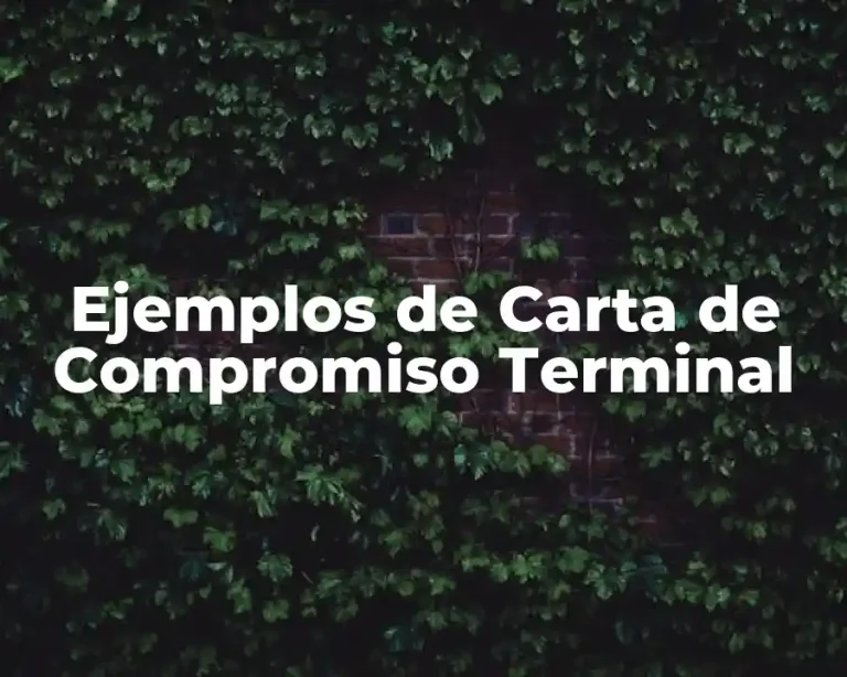 Ejemplos de Carta de Compromiso Terminal