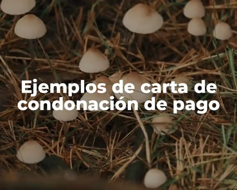 Ejemplos de carta de condonación de pago