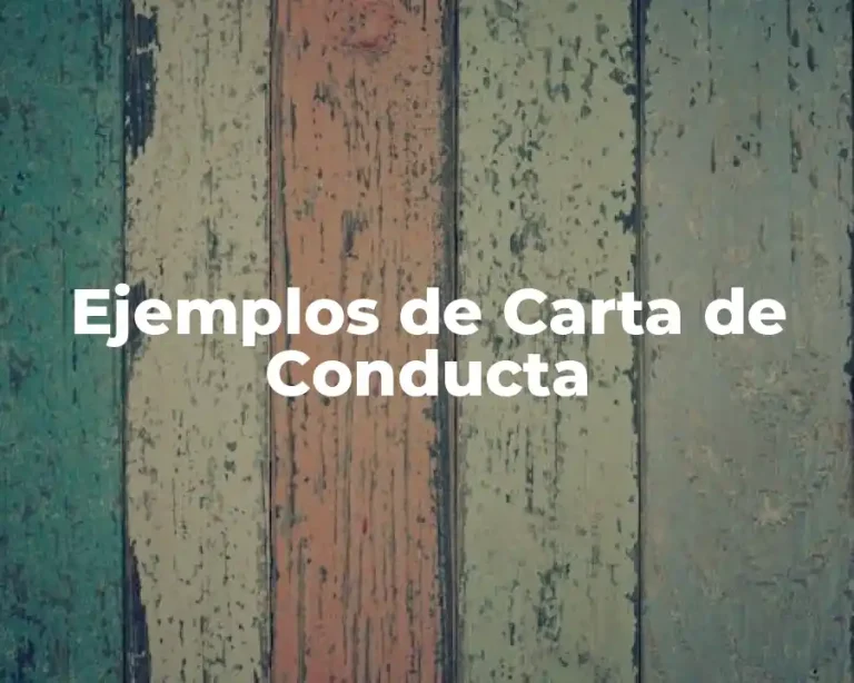 Ejemplos de Carta de Conducta