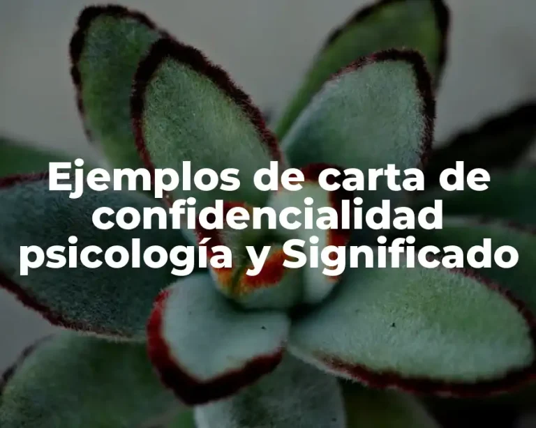 Ejemplos de carta de confidencialidad psicología y Significado
