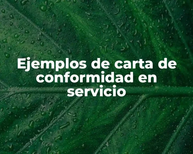 Ejemplos de carta de conformidad en servicio