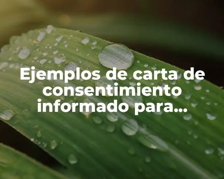 Ejemplos de carta de consentimiento informado para investigación clínica