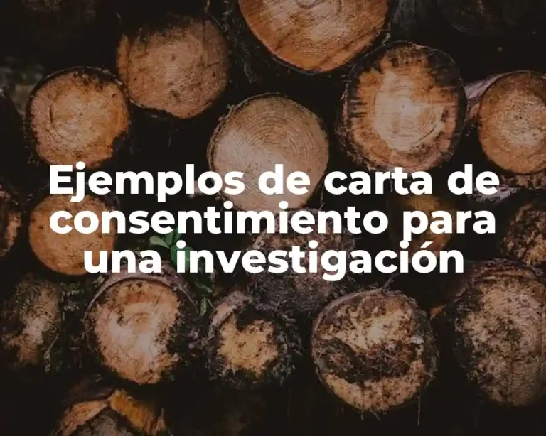 Ejemplos de carta de consentimiento para una investigación